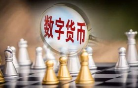 数字货币是什么(数字货币是什么形式的替代货币)