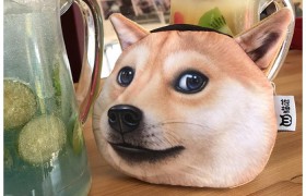 doge钱包下载(狗狗币DOGE钱包获取)