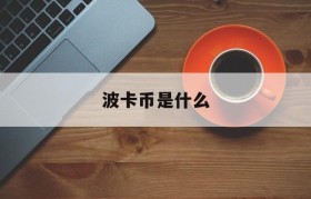 波卡币是什么(波卡币是什么技术)