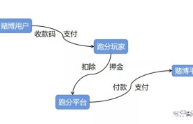 怎么充值转账usdt(怎么充值转账别人不知道)