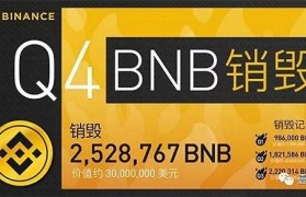 bnb浏览器(bnb浏览器查询)