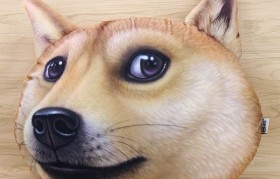 doge(doge表情包啥意思)