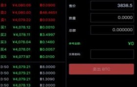 比特儿(比特儿最新官网)