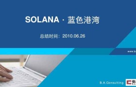 solana开发(solana开发成本)