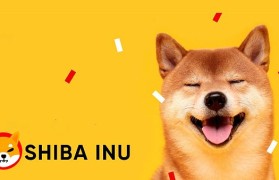 柴狗币行情(柴犬币最新价格行情)