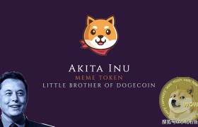 dogecoin怎么买(dogecoin怎么购买)