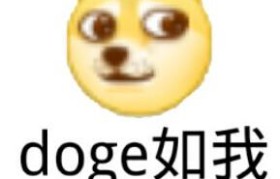 doge是什么(doge币最新消息)