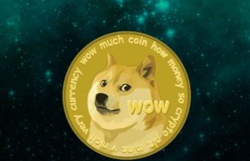 dogecoin浏览器(dogecoin浏览器总转出)