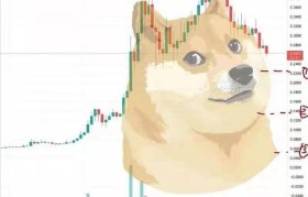 doge币最新(doge币最新消息价格)