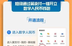 数字人民币APP钱包(数字人民币App钱包怎么升级)