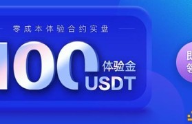 usdt入金哪家正规(外汇平台用usdt入金安全吗)