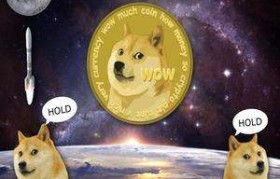 doge币钱包(doge币钱包怎么下载)