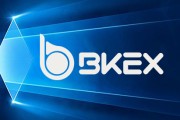 BKEX交易所(bkEX交易所中文名称)