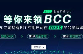 比特币OKCoin交易网(比特币okcoin交易平台)