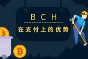 bch下载的简单介绍