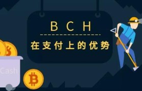 bch下载的简单介绍