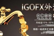 igofx(Igofx营销)