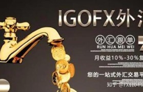 igofx(Igofx营销)