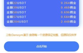 usdt支付系统(usdt支付系统开发搭建)