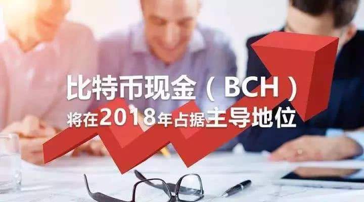 bch是什么币(BCH是什么币种)