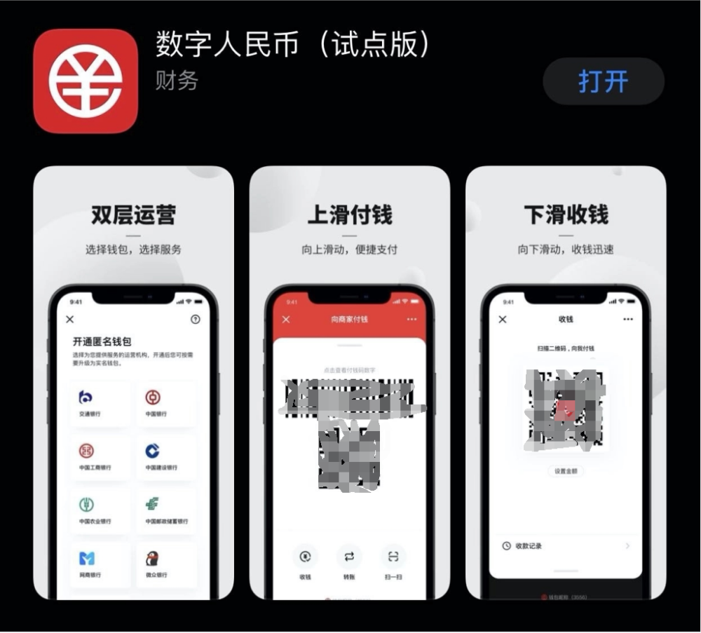 数字货币是什么app(数字货币是什么形式的替代货币)