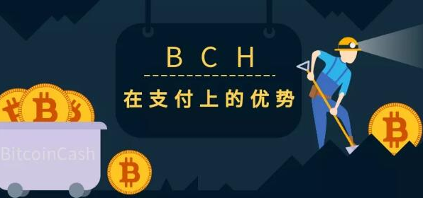 bch下载的简单介绍