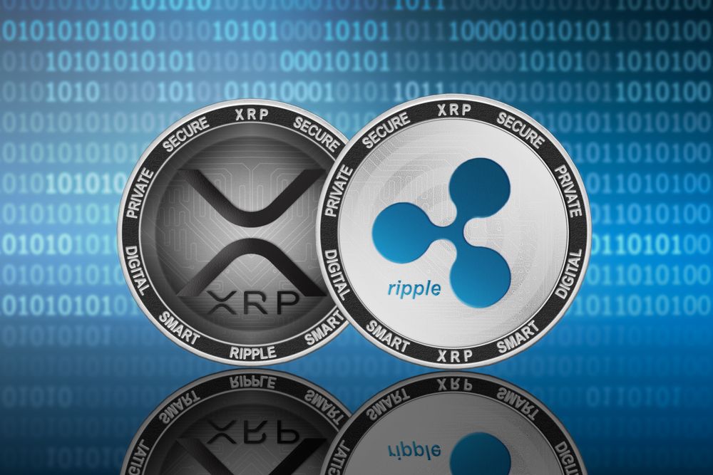 xrp搭建(XRP怎么玩)