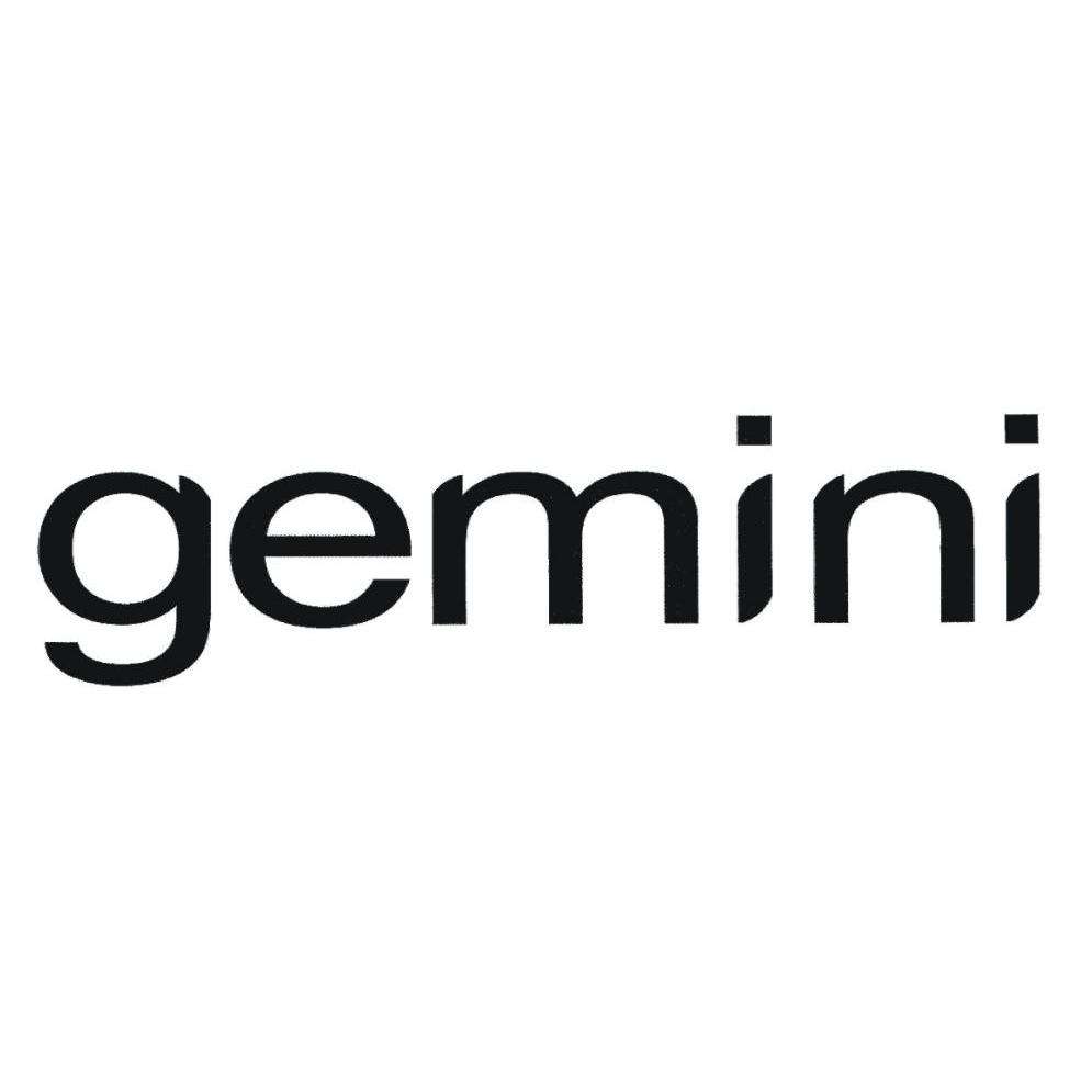 gemini是什么(Gemini是什么软件)