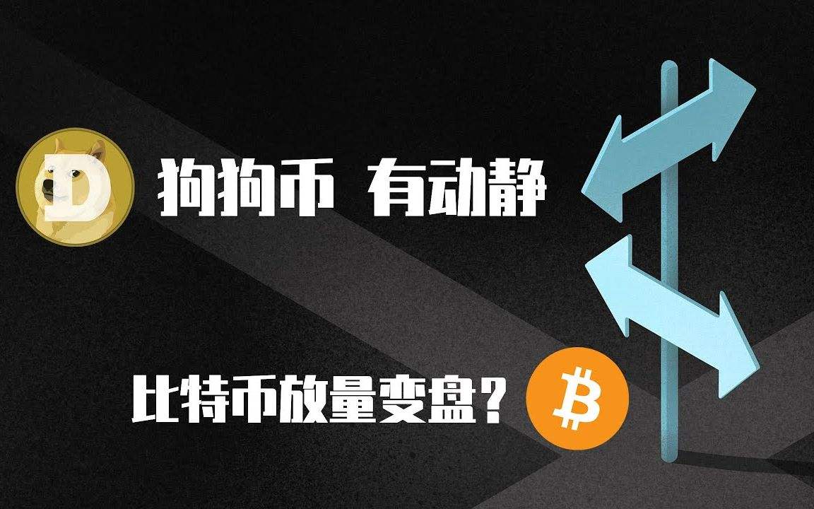 coinw(coinwatch是什么牌子的手表价格)