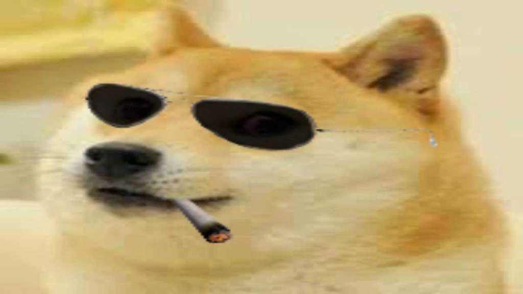 doge论坛(dogecoin论坛)