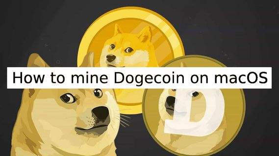 doge币官网(doge币正规交易平台)