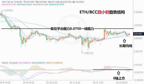 鲨鱼币交易行情(鲨鱼币shab价格)